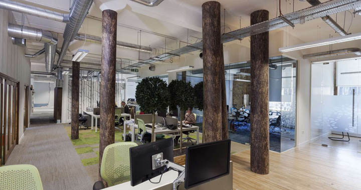 生命和绿色拥抱:Friends of the Earth办公室设计