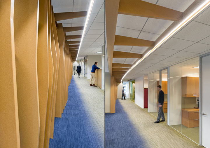 严谨与创意:美国 Econ One 办公室设计